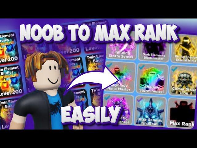 Noob To Max Rank Using OP Pets And Glitches | Ninja Legends