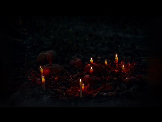 Burning Candles in the Woods 🪦 — Eery Halloween Ambience 