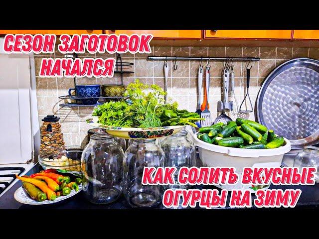 Сезон заготовок начался | Как солить вкусные огурцы на зиму | Быстрая простая еда