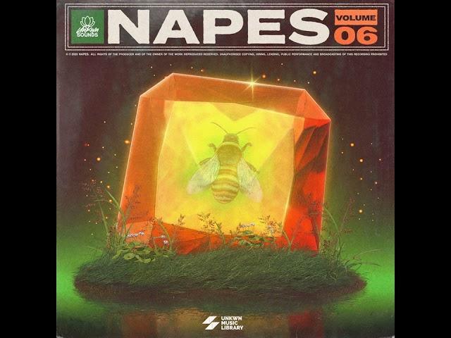 UNKWN Sounds - Napes Vol. 6 (Sample Pack) *Fire*