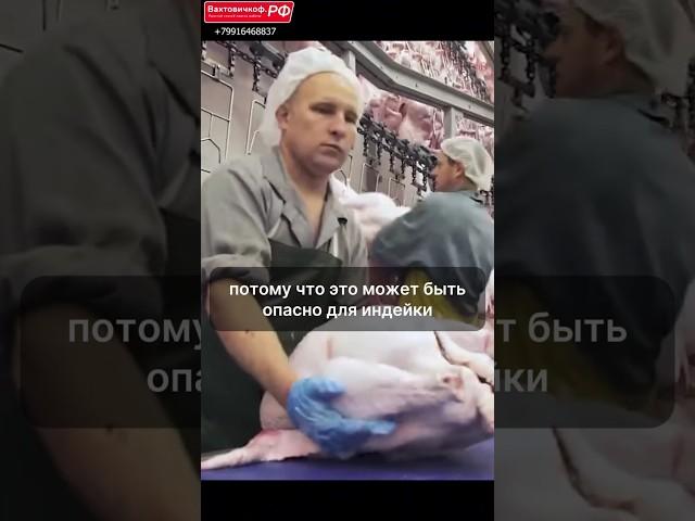 РАБОТА ВАХТОЙ не для всех... | г. Нижний Ломов, ставка 3700₽