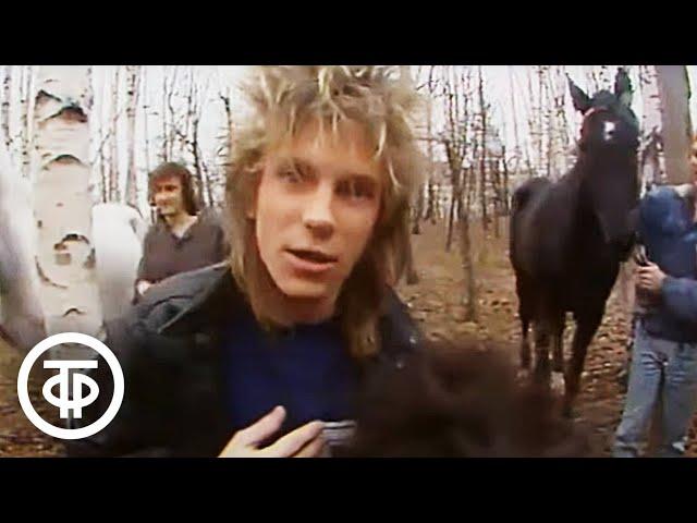 Виктор Салтыков и группа "Электроклуб" - "Кони в яблоках" (1988)