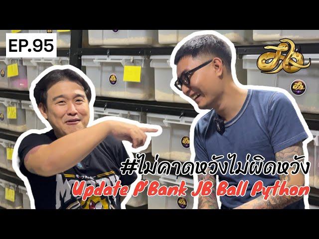 Room tour by Dewdugdui.s EP.95 | Update! P’Bank JB ballpython#Dewdugdui #ballpython