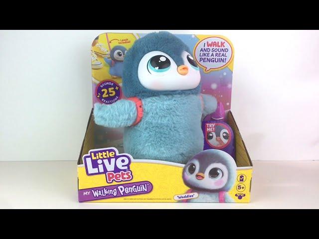 Little Live Pets My Walking Penguin Waddles Electronic Pets  Unboxing & Reivew #littlelivepets