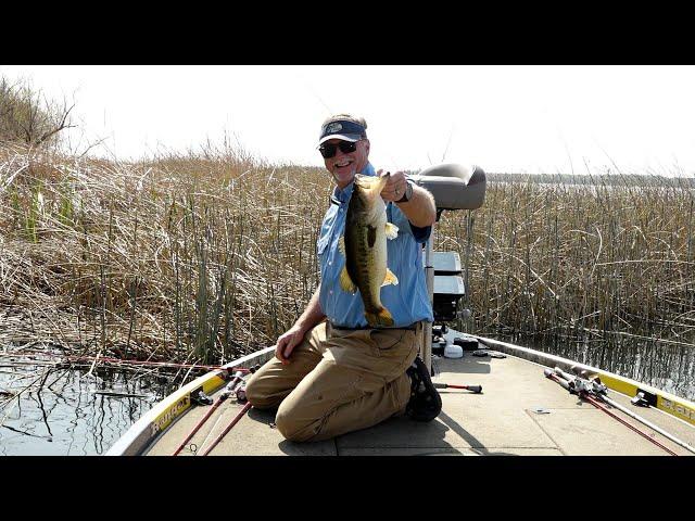 Slowing Down to Sight Fish for Bass