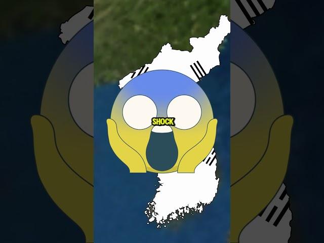  What If North and South Korea United in 2025