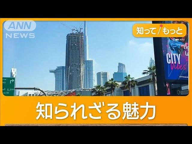 ドバイ移住がじわじわ人気　“お金持ちの街”実は住みやすい？　治安良好＆不動産格安【グッド！モーニング】(2024年11月27日)