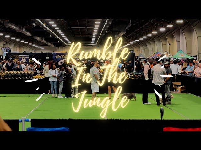 Rumble In The Jungle 5.0