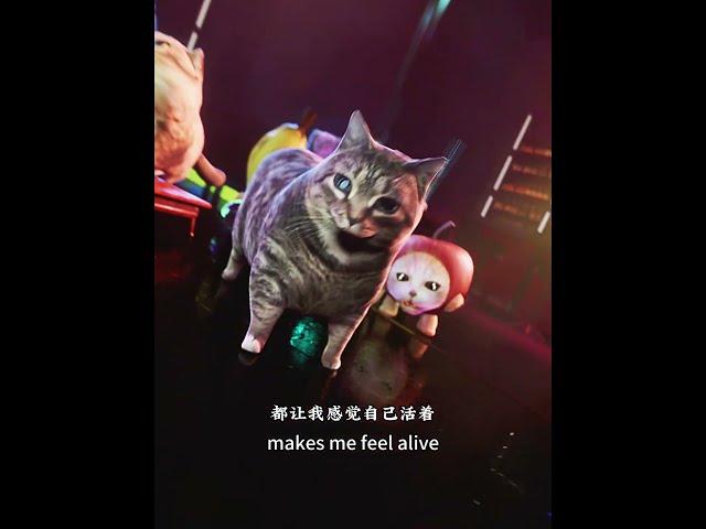 Counting Stars (Oiiai Cat Edition )#memes  #oiiaoiia #happycats #bananacat #cheems #doge