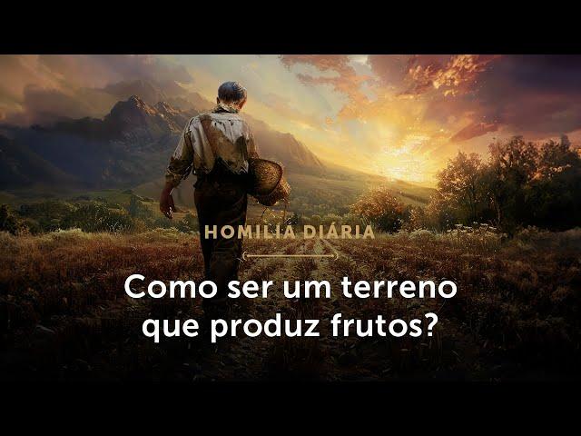 Homilia Diária | Como ser um terreno que produz frutos? (Quarta-feira da 16.ª Semana do Tempo Comum)