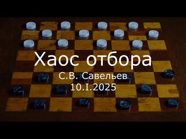 С.В. Савельев - Хаос отбора