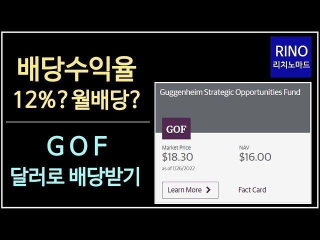 배당수익율 12%? 월배당? GOF 달러로 배당받기 - 파이어족 되는 법 7부