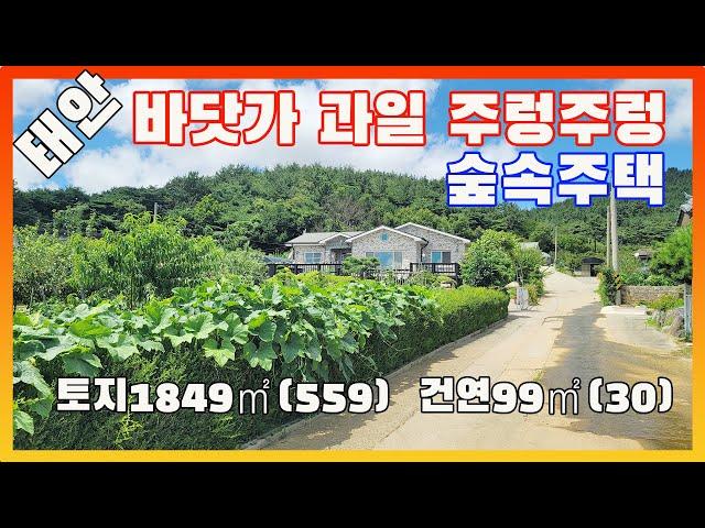 [물건번호2648]태안군 태안읍 바닷가 5km " 주렁주렁 과일나무 가득" 전원주택 을 소개 합니다, 바닷가 숲속 주택 입니다, 15종 이상의 과일나무 많은 미니과수원급 주택 입니