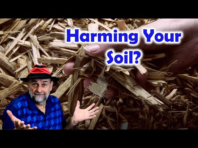 Are Woodchips Harming Your Soil and Plants?