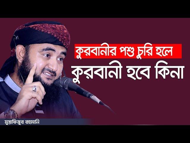 কোরবানির পশু ক্রয় করার পর চুরি হয়ে গেলে কি করা  (আসুন জানি) Mustafizur rahmani