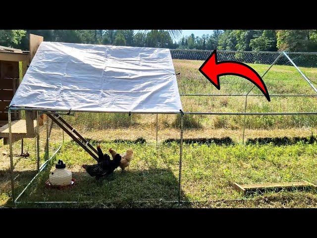 Perfect Chicken Coop for Any Weather! Easy DIY Chicken Coop!