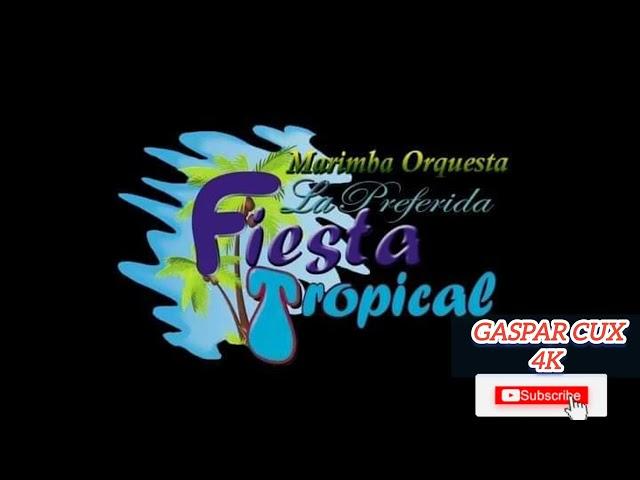 fiesta tropical /// cuatro palabras /// 