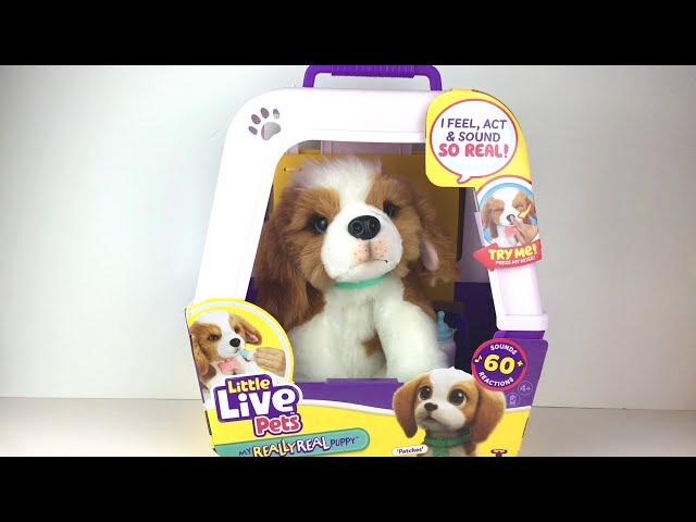 Little Live Pets My Really Real Puppy Patch Interactive Pet  Unboxing & Review