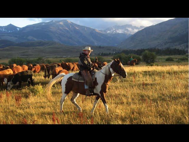 Top 5 Montana Vacation Ranches