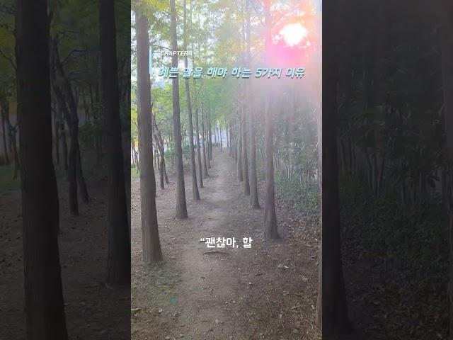 예쁜 말을 해야 하는 5가지 이유#예쁜말 #정법강의 #말의힘 #홍익인간 #영혼의질량 #기운의법칙 #긍정언어 #운명바꾸기 #말습관 #인생공부