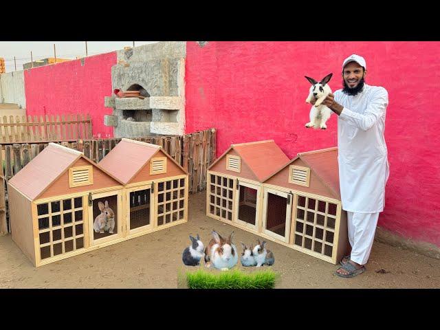 Rabbit House Almost Completed  || Bakri Or Osky Bachy Chaly Gaye 