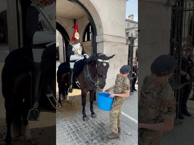 Royal Water Supply: Keeping the King's Horse Cool in Scorching Heat! " #Shorts