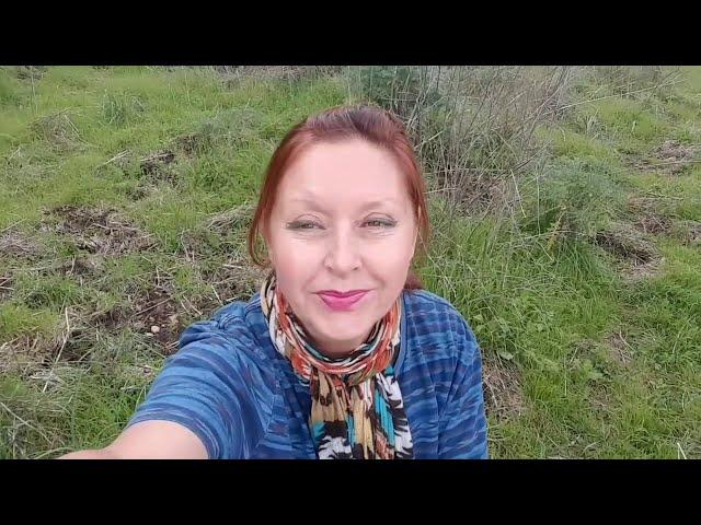 Коп Мандрагор под дубом.DiggingMandrake under the oak tree.#сад​​​​​​ #мандрагора​​​​​​ #горы​​​​​​#