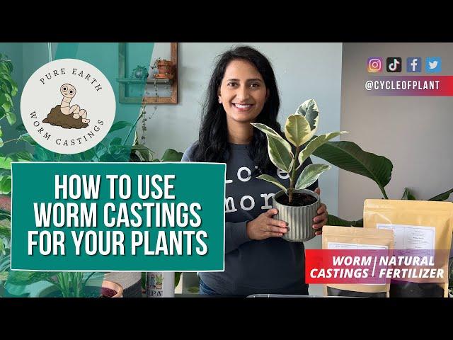 How to Use Worm Castings for Houseplants | Natural Fertilizer | Cycle of Plant