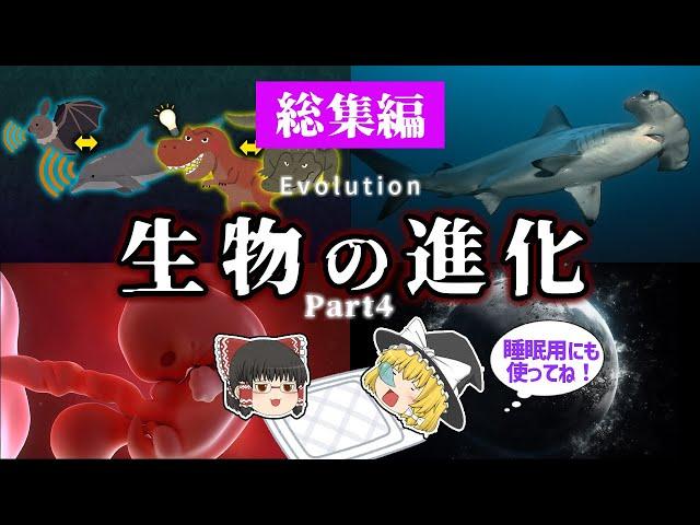 【睡眠用・ゆっくり解説】生物の進化４　シュモクザメ/収斂進化/進化の再現など【途中広告なし】