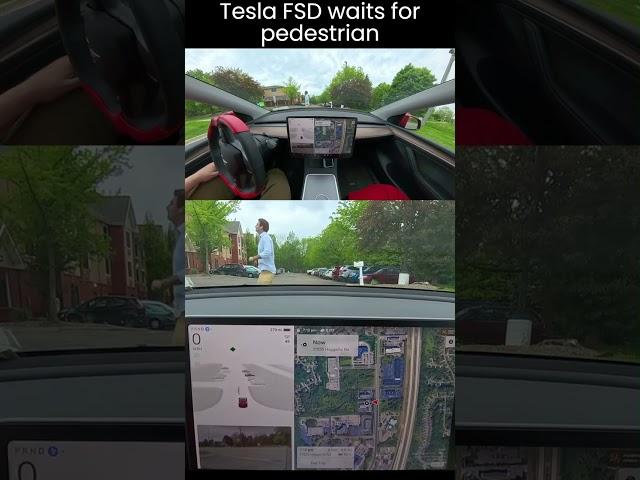 Tesla Robotaxi - vision only self driving #robotaxi #cybercab #tesla