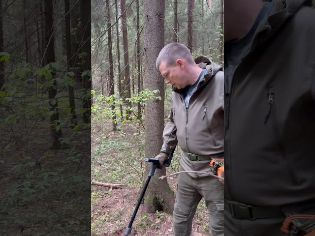 Топ  находка в древних лесах #находки #metaldetecting #metaldetector #копатель #коп  #поискмонет