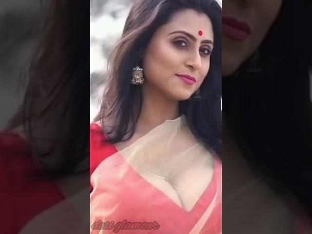 saree lover