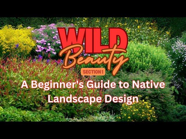  Welcome to "Wild Beauty" – Your Guide to Native Landscape Design! 