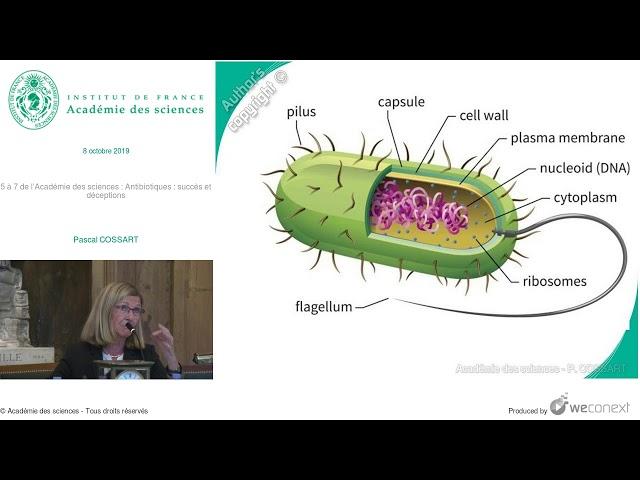 [Conférence] P. COSSART - 5 à 7 de l’Académie des sciences : Antibiotiques : succès et décept