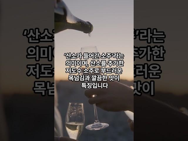 지역의 맛을 대표하는 특별한 소주