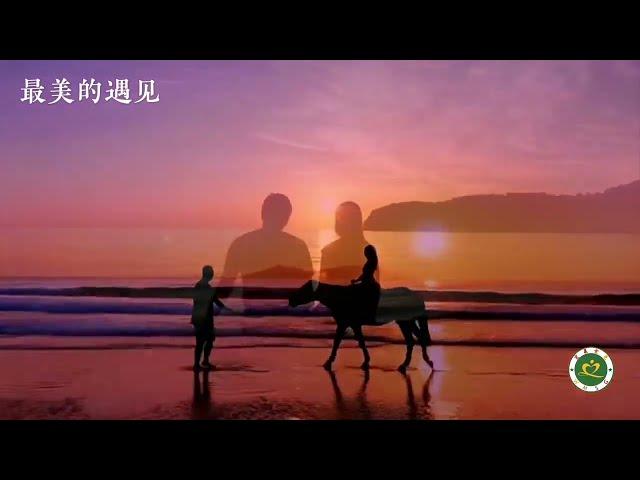 齐旦布新歌《最美的遇见》MV就在相视的瞬间/The Most Beautiful Encounter