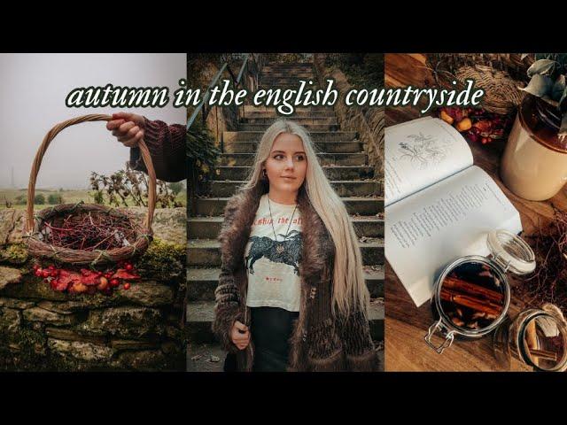 Hello Autumn   English Country Fair & Elderberry Tincture | Seasonal Remedy for the Cold