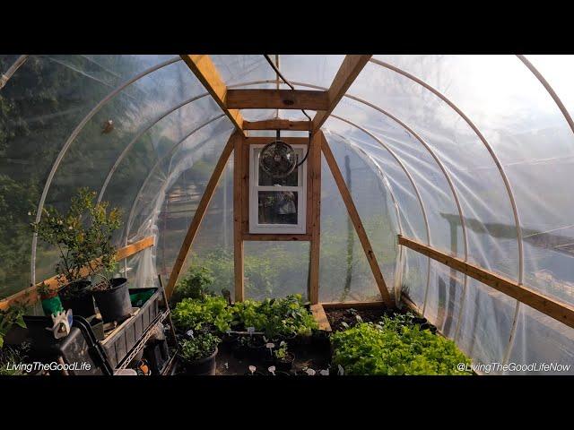 DIY PVC Greenhouse In A Day  Full Step-By-Step Easy Low Cost Build Instructions