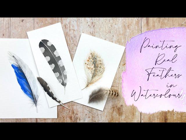 Painting Real Feathers in Watercolour