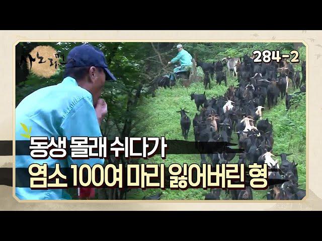 [사노라면] 284-2 염소 방목 중 동생 몰래 쉬다가 염소 100여 마리 잃어버린 형