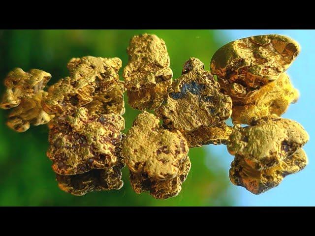 Gold Nuggets [Refining Raw Gold Into Pure Gold]