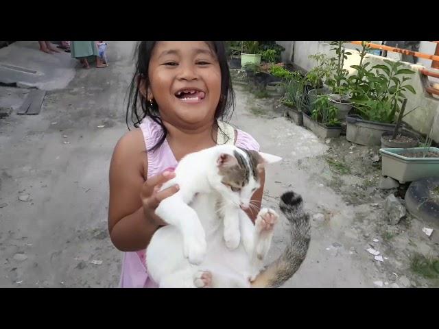 si meong kucing lucu lagu anak anak populer