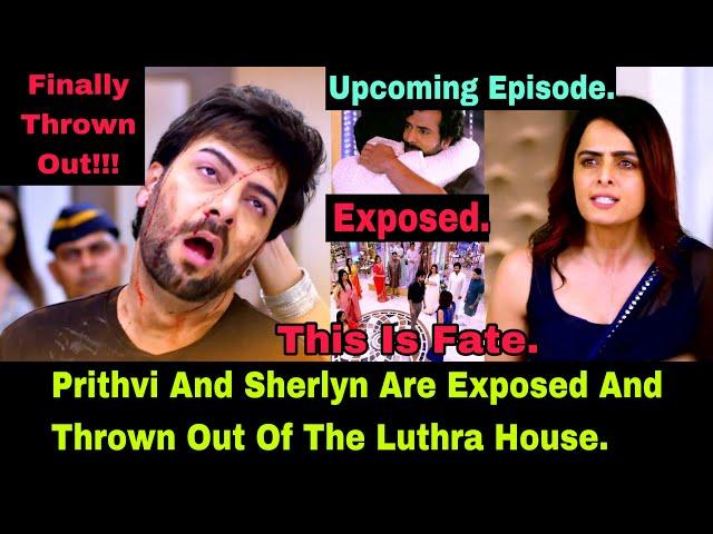 Sherlyn And Prithvi Are Finally Thrown Out Of The Luthra House After Rishab Expose Them| Zee World.