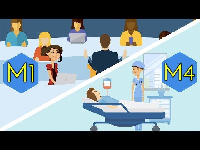 MEDICAL SCHOOL - 4 Years EXPLAINED