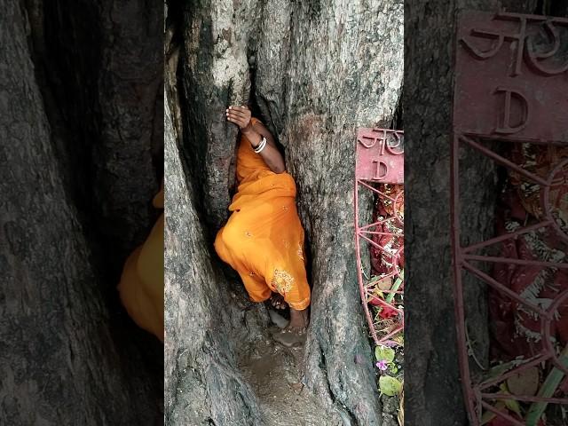 #devigeet #jaimatadi #geet #bhakti #shorts #viralvideo #trending #vlog