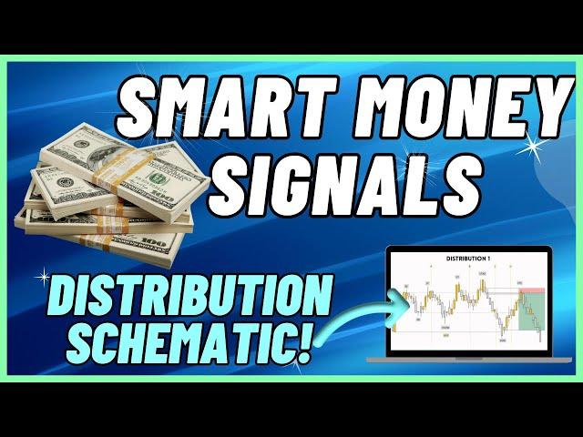 Distribution Tutorial 2024  NEW  Smart Money Signals 