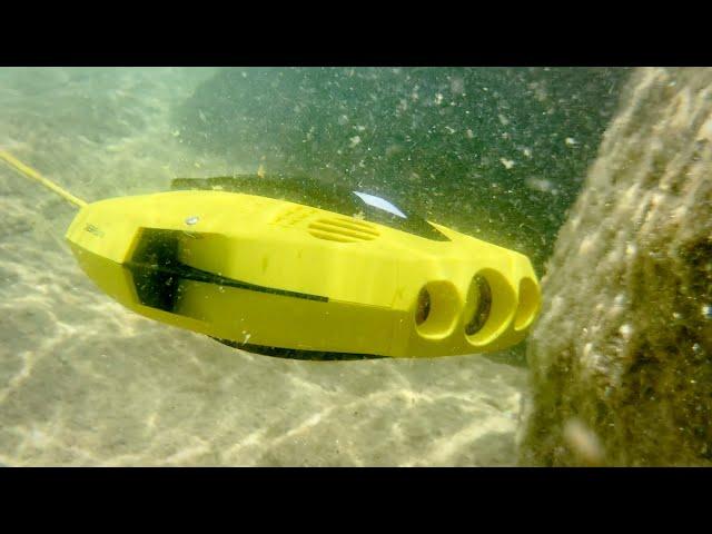 Chasing Dory: An affordable underwater drone