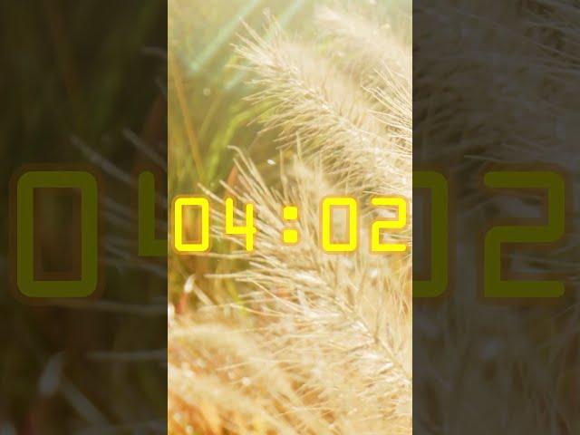 timer for 10 seconds • with Calming Nature Sounds in the Background