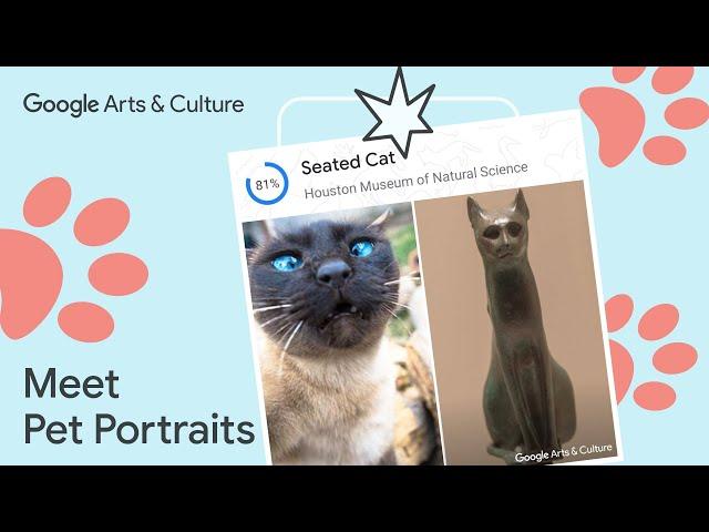 Turn your Pet into a Masterpiece with Pet Portraits  | Google Arts & Culture