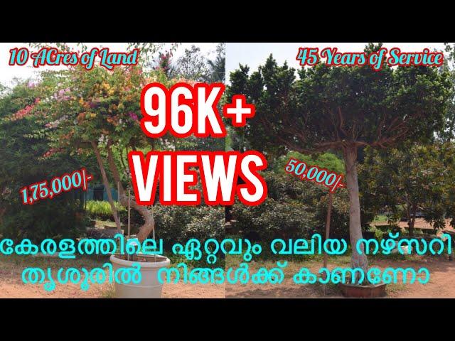 Mannuthy  Vellanikkara  flowers & fruits nursery  - - Teeose Nursery